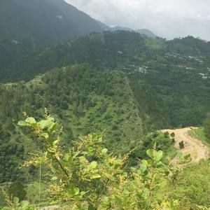 Meet your Posher, Dev